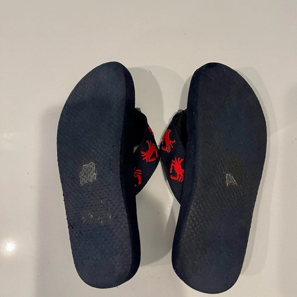 J.Crew Crewcuts Kids Flip-Flops – Blue w/ Red Crab Embroidery, Size 11